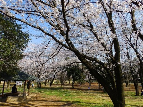 川崎市宮前区水沢3丁目の中古一戸建て(菅生緑地)