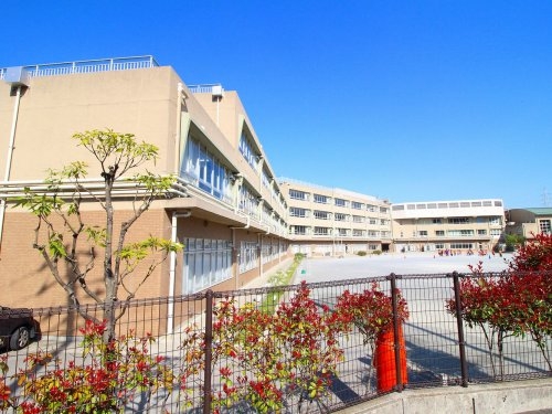川崎市高津区北野川の土地(川崎市立橘小学校)