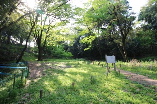 川崎市高津区北野川の土地(たちばなふれあいの森)