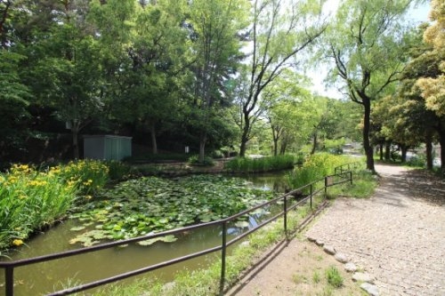 東急田園都市線「藤が丘」藤が丘ハイツ(藤が丘公園)