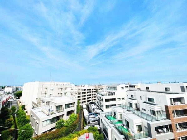 東急田園都市線「藤が丘」藤が丘ハイツ
