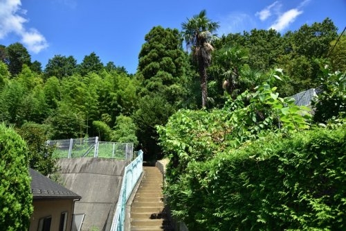 小田急線「柿生」ライオンズマンション柿生の丘(柿生緑地)
