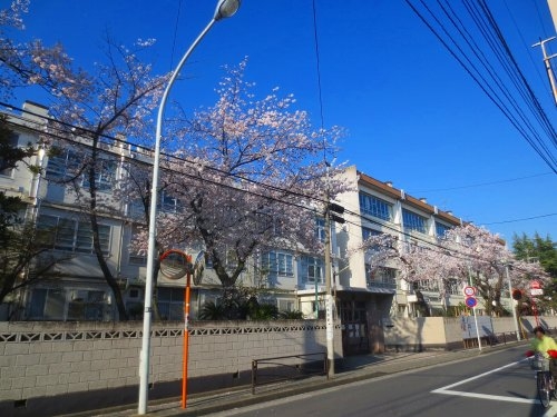 JR横須賀線「武蔵小杉」THEKOSUGITOWER(川崎市立住吉中学校)