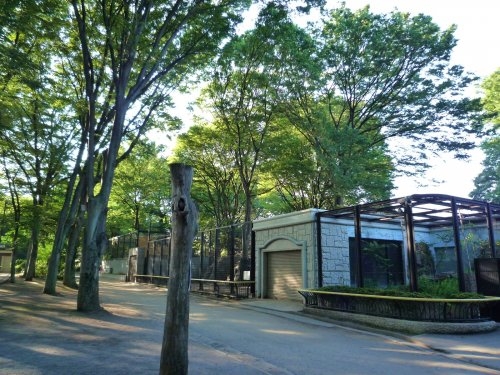 ダイヤパレス日吉イースト(夢見ケ崎公園)