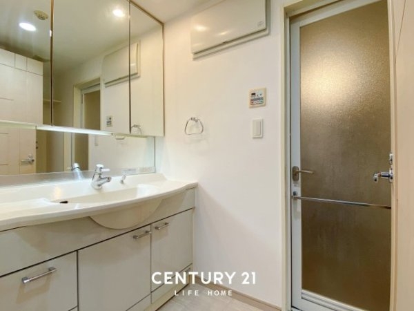 ジェイパーク向ヶ丘メイプルハウス(洗面台・洗面所)