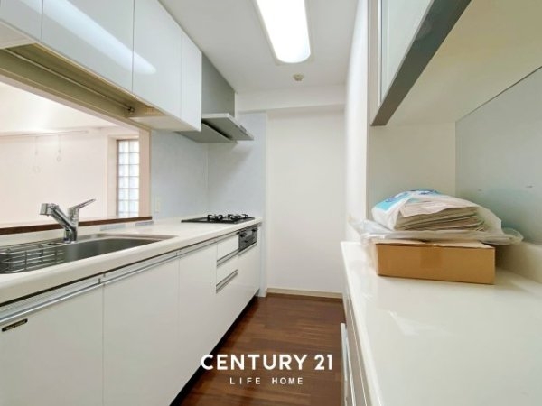 ジェイパーク向ヶ丘メイプルハウス(キッチン)