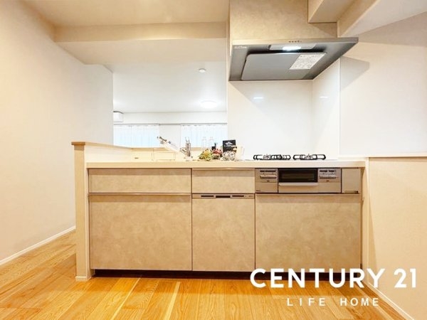 第2コーポ清美(キッチン)