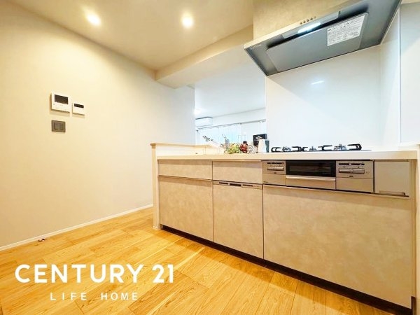 第2コーポ清美(キッチン)