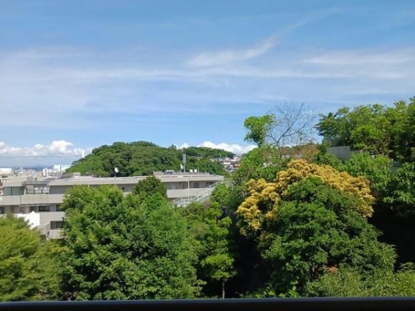 ライネスハイム京急富岡