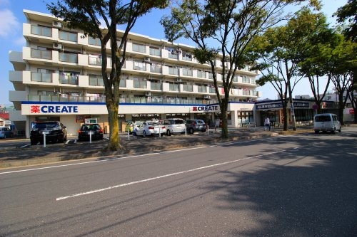 ライオンズヒルズ藤が丘弐番館(クリエイトSD(エス・ディー)柿の木台店)