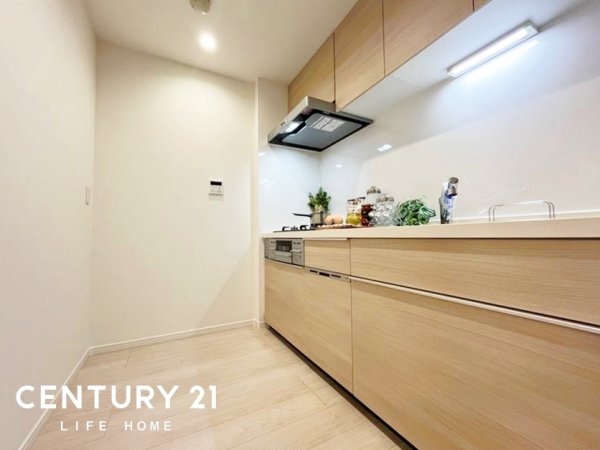 グリーンヒルズ菊名