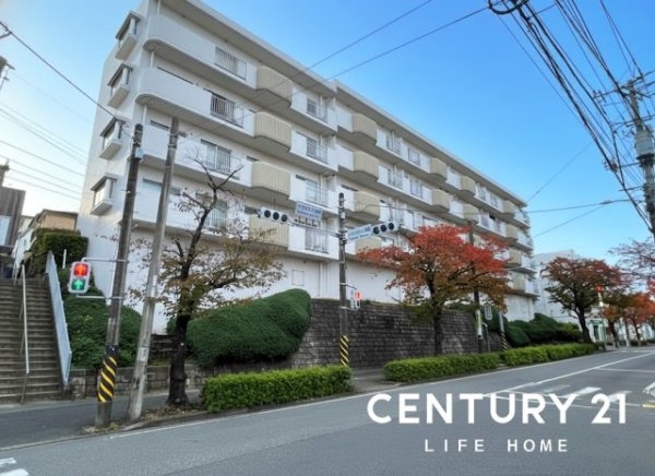 ハイネス青葉台