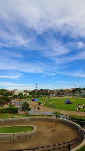 鷺沼ハイライズ(鷺沼ふれあい広場)