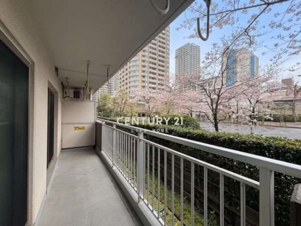 小杉御殿団地第５号棟