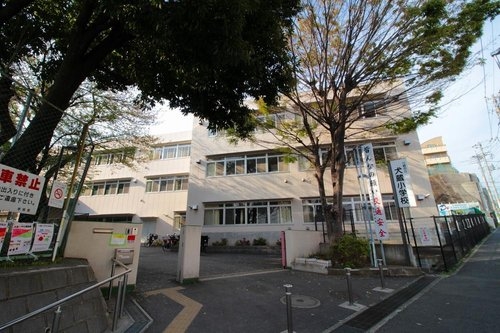 パークハウス美しの森ヒルサイド(川崎市立犬蔵小学校)
