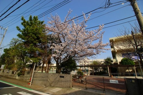 横浜市港北区仲手原２丁目の中古一戸建て(横浜市立白幡小学校)