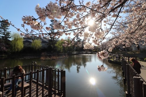 横浜市港北区仲手原２丁目の中古一戸建て(白幡池公園)