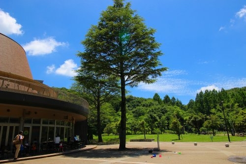 アトラスタワー向ケ丘遊園(生田緑地)
