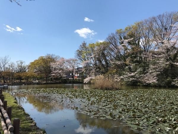 横浜市港北区菊名２丁目の中古一戸建て(菊名池公園)