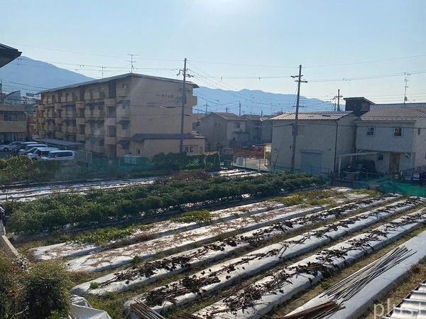 勧修寺のコンパクトハウス