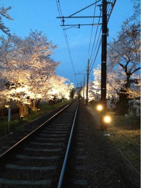 京都市右京区宇多野法安寺町の土地