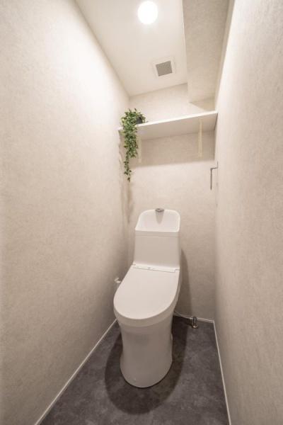 ハイラーク西京極