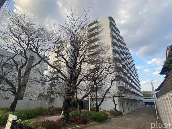 ネオコーポラス島ノ内A棟