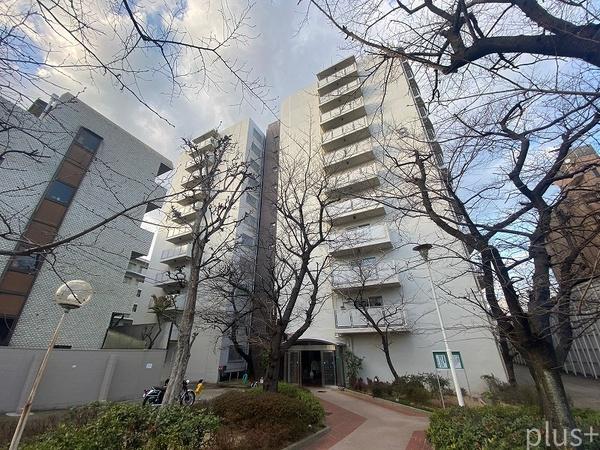 ネオコーポラス島ノ内A棟