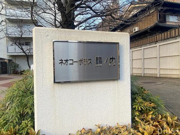 ネオコーポラス島ノ内A棟