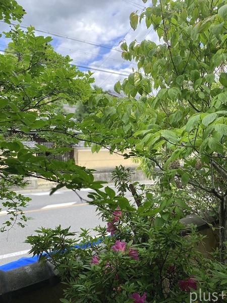 京都市右京区嵯峨大覚寺門前堂ノ前町の土地