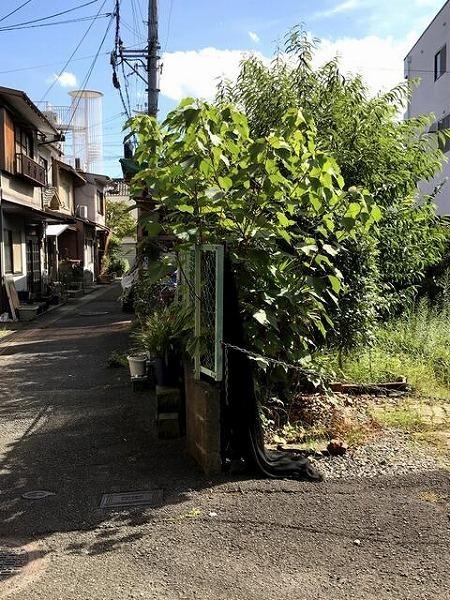 京都市右京区嵯峨野宮ノ元町の土地