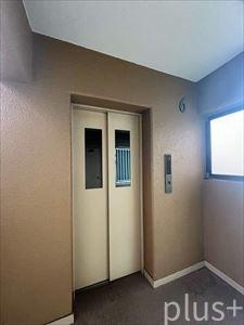 グローバル嵯峨