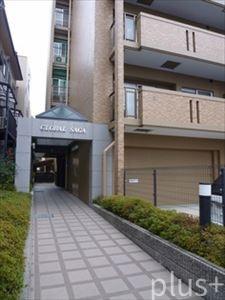 グローバル嵯峨