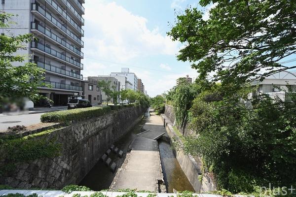 キャピタルコータス堀川