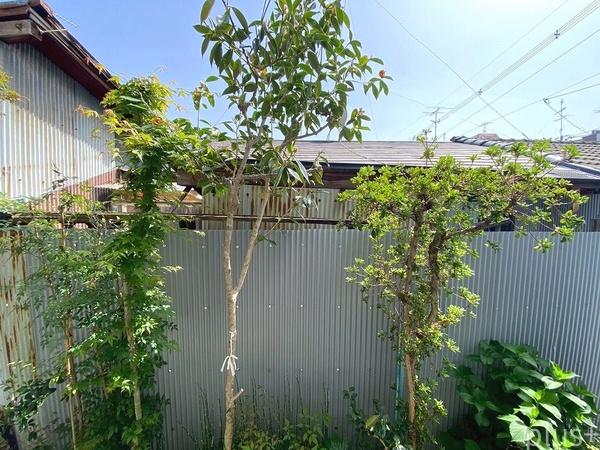 京都市中京区西ノ京船塚町の土地