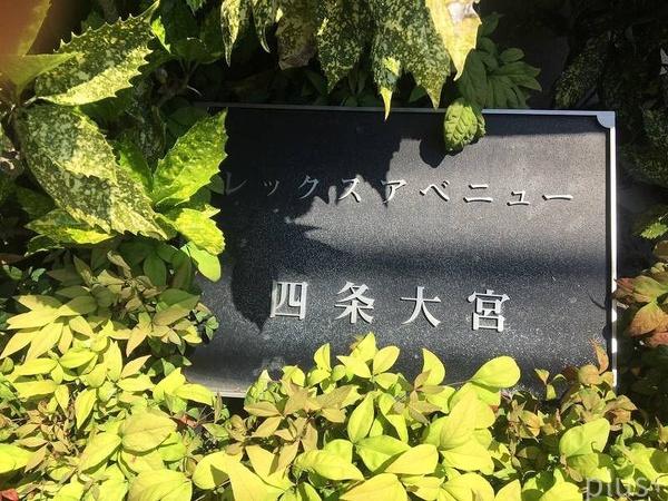 レックスアベニュー四条大宮