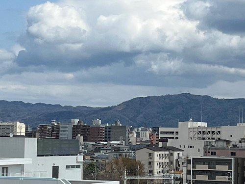 マンハイム五条