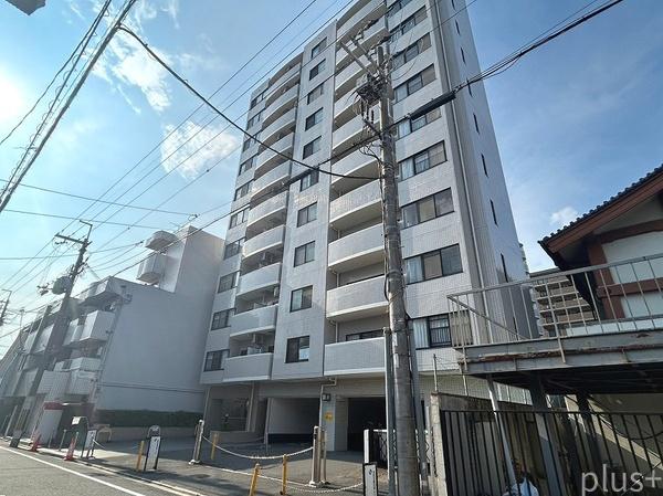 コスモトゥデイ