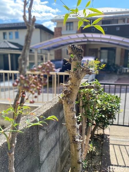 京都市北区西賀茂今原町の中古一戸建て
