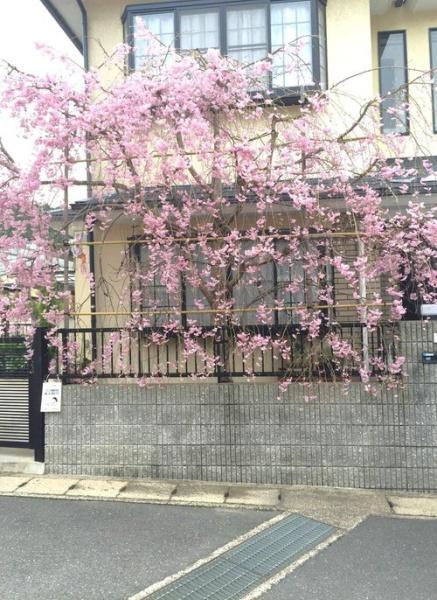 京都市右京区鳴滝般若寺町の中古一戸建て