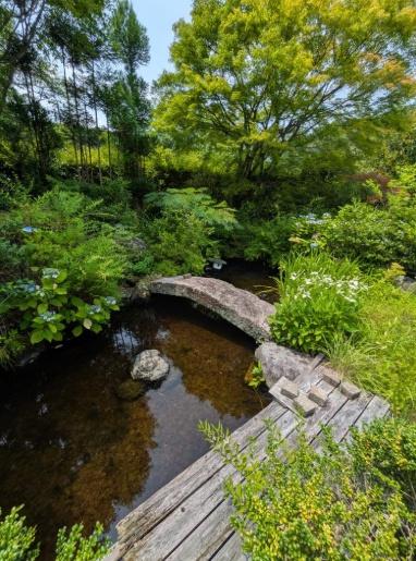 京都市右京区梅ケ畑向ノ地町の中古一戸建て