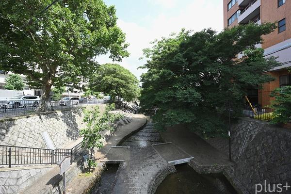 キャピタルコータス堀川