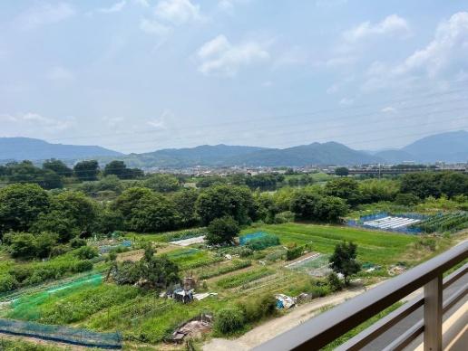 ネバーランド西京極