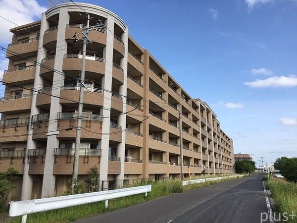ネバーランド西京極