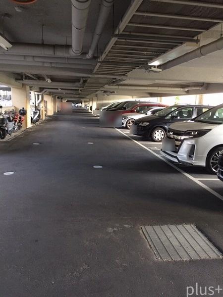 ネバーランド西京極