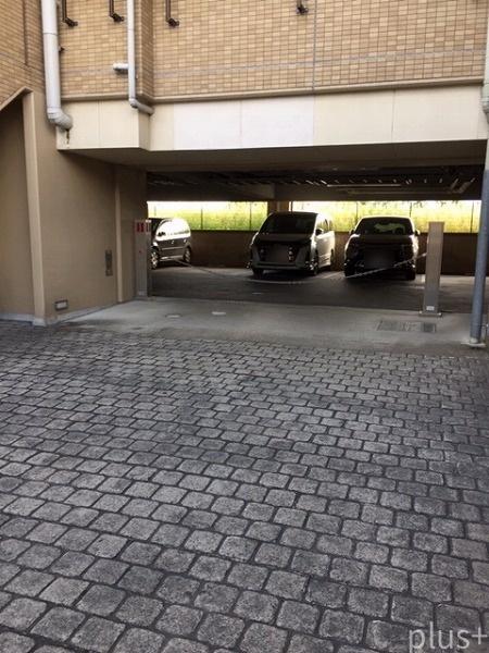 ネバーランド西京極