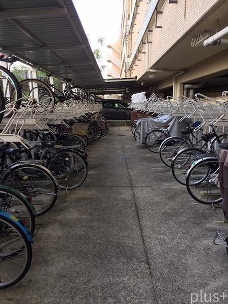 ネバーランド西京極