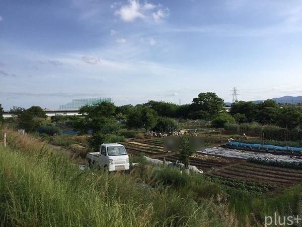 ネバーランド西京極