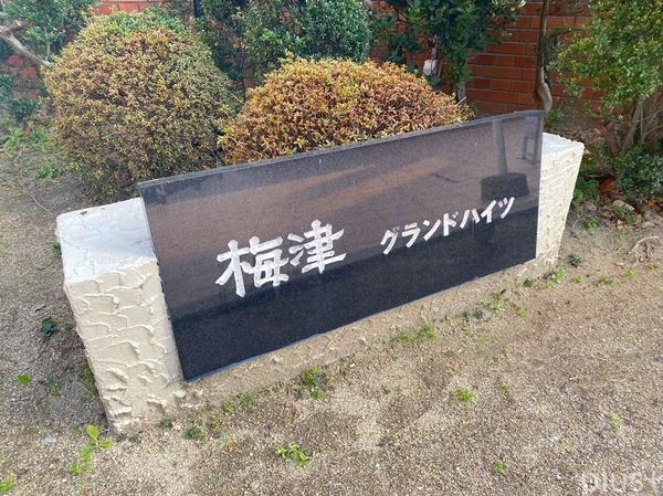 梅津グランドハイツ