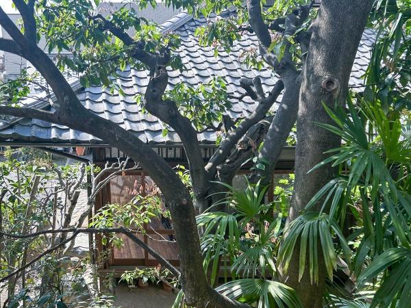 京都市上京区寺今町の中古一戸建て